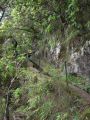 Madeira0812.JPG